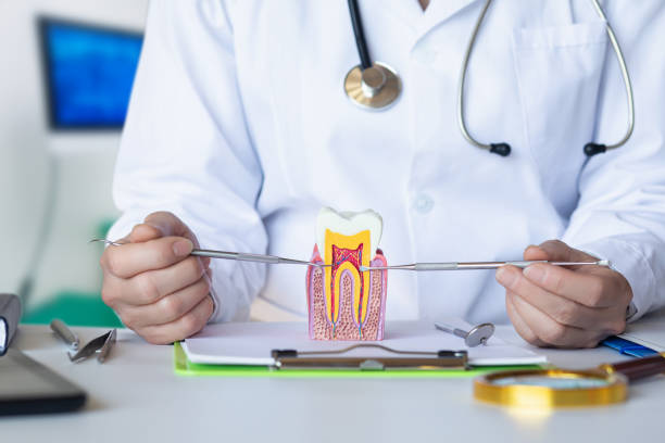 Best Emergency Tooth Extraction in Pocomoke City, MD